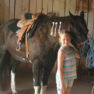 Meet your Posher, Sherry